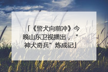 《警犬向前冲》今晚山东卫视播出，“神犬奇兵”炼成记