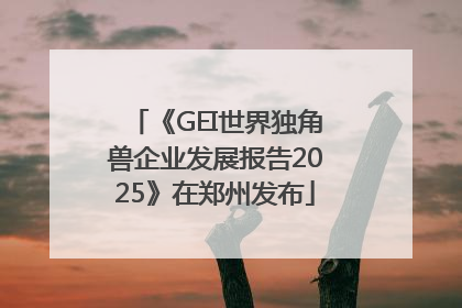 《GEI世界独角兽企业发展报告2025》在郑州发布