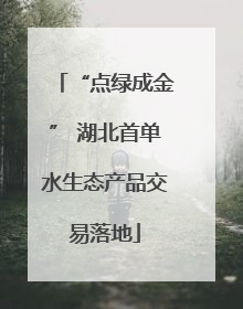 “点绿成金” 湖北首单水生态产品交易落地
