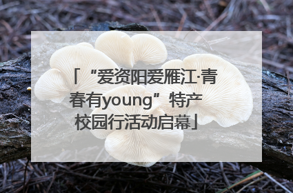 “爱资阳爱雁江·青春有young”特产校园行活动启幕