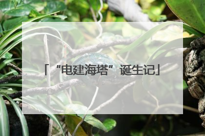 “电建海塔”诞生记