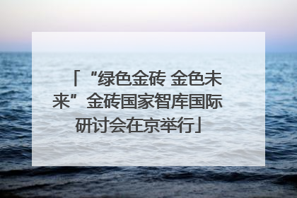 “绿色金砖 金色未来”金砖国家智库国际研讨会在京举行