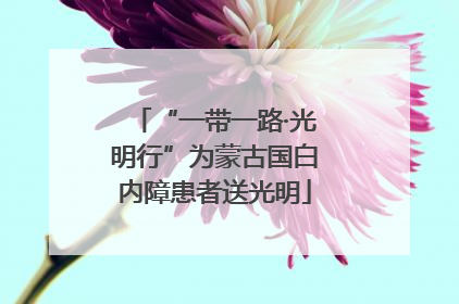 “一带一路·光明行”为蒙古国白内障患者送光明