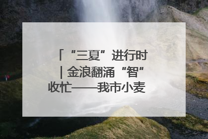 “三夏”进行时｜金浪翻涌“智”收忙——我市小麦开镰收割见闻