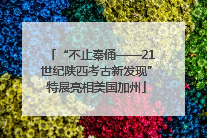 “不止秦俑——21世纪陕西考古新发现”特展亮相美国加州