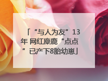 “与人为友”13年 网红麋鹿“点点”已产下8胎幼崽