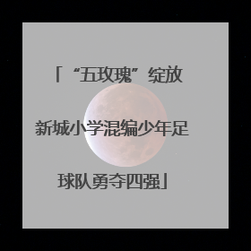“五玫瑰”绽放 新城小学混编少年足球队勇夺四强