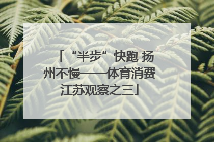 “半步”快跑 扬州不慢——体育消费江苏观察之三