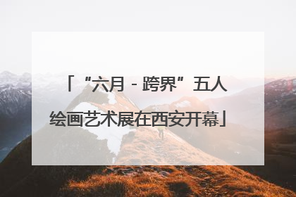 “六月 - 跨界”五人绘画艺术展在西安开幕