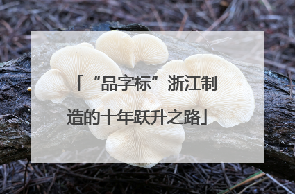“品字标”浙江制造的十年跃升之路