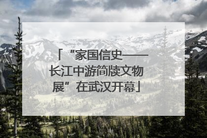 “家国信史——长江中游简牍文物展”在武汉开幕