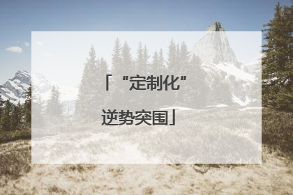 “定制化” 逆势突围