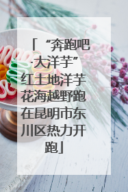 “奔跑吧·大洋芋”红土地洋芋花海越野跑在昆明市东川区热力开跑