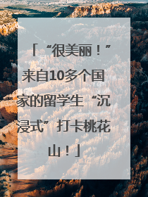 “很美丽！”来自10多个国家的留学生“沉浸式”打卡桃花山！