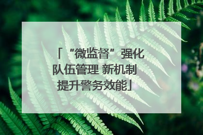 “微监督”强化队伍管理 新机制提升警务效能