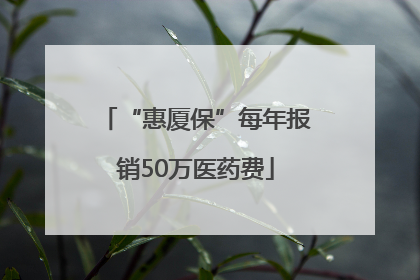 “惠厦保”每年报销50万医药费