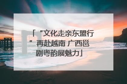 “文化走亲东盟行”再赴越南 广西邕剧粤韵展魅力