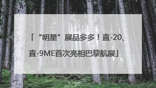 “明星”展品多多！直-20、直-9ME首次亮相巴黎航展