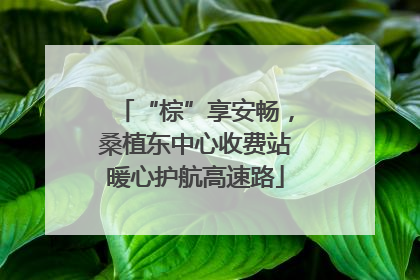 “棕”享安畅，桑植东中心收费站暖心护航高速路