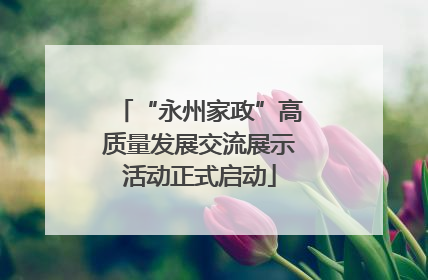 “永州家政”高质量发展交流展示活动正式启动