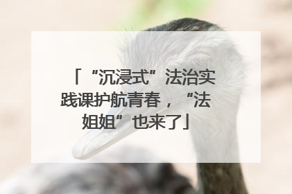 “沉浸式”法治实践课护航青春，“法姐姐”也来了