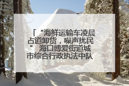 “海鲜运输车凌晨占道卸货，噪声扰民” 海口博爱街道城市综合行政执法中队：将联合交警加强长堤路一带巡逻