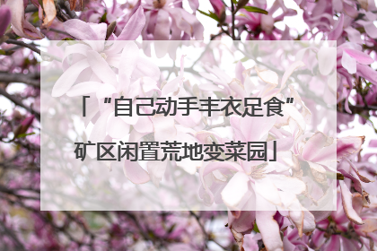 “自己动手丰衣足食”矿区闲置荒地变菜园