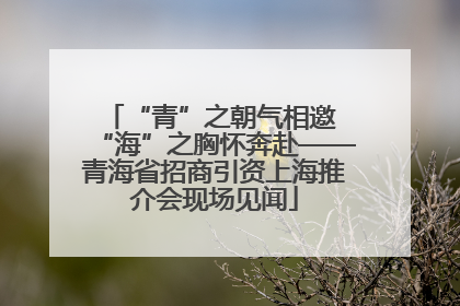 “青”之朝气相邀 “海”之胸怀奔赴——青海省招商引资上海推介会现场见闻