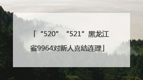 “520”“521”黑龙江省9964对新人喜结连理