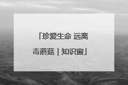 珍爱生命 远离毒蘑菇｜知识窗