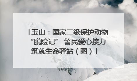 玉山：国家二级保护动物“脱险记” 警民爱心接力筑就生命驿站（图）