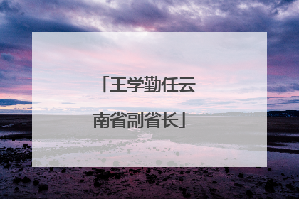 王学勤任云南省副省长