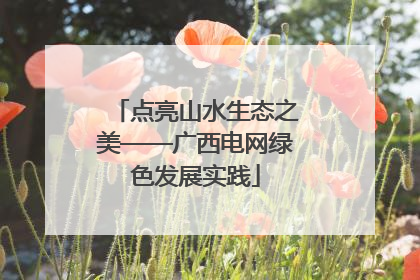 点亮山水生态之美——广西电网绿色发展实践