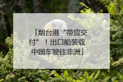 烟台港“带货交付”！出口船装载中国车驶往非洲
