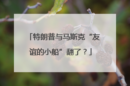 特朗普与马斯克“友谊的小船”翻了？