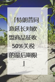 特朗普同意延长对欧盟商品征收50%关税的最后期限