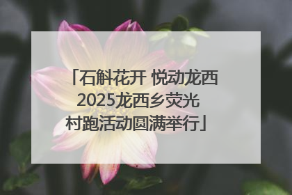 石斛花开 悦动龙西 2025龙西乡荧光村跑活动圆满举行