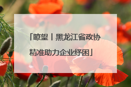 瞭望丨黑龙江省政协精准助力企业纾困
