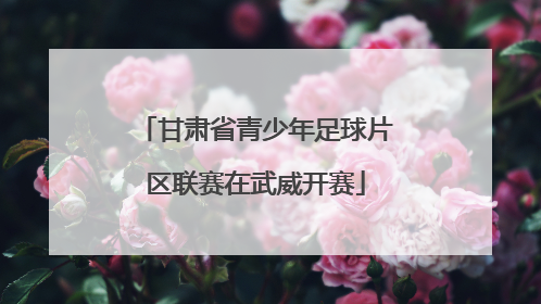 甘肃省青少年足球片区联赛在武威开赛