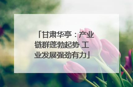 甘肃华亭：产业链群蓬勃起势 工业发展强劲有力