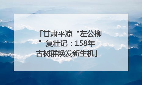 甘肃平凉“左公柳”复壮记：158年古树群焕发新生机