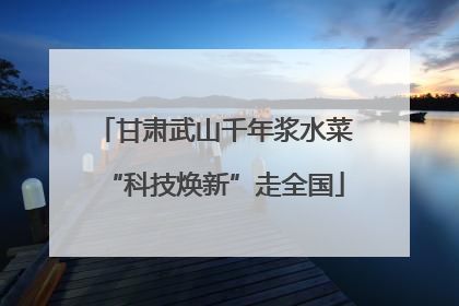 甘肃武山千年浆水菜“科技焕新”走全国