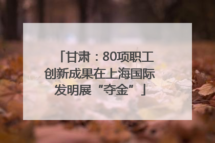 甘肃：80项职工创新成果在上海国际发明展“夺金”