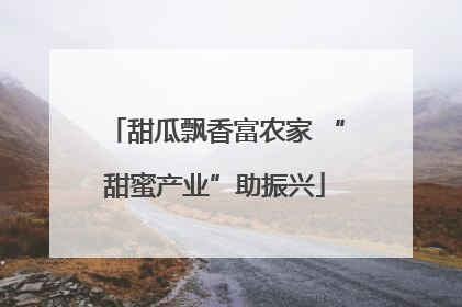 甜瓜飘香富农家 “甜蜜产业”助振兴