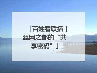 百姓看联播丨丝网之都的“共享密码”