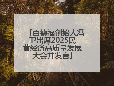 百德福创始人冯卫出席2025民营经济高质量发展大会并发言
