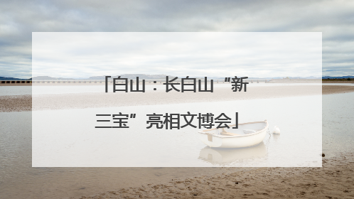 白山：长白山“新三宝”亮相文博会