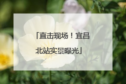 直击现场！宜昌北站实景曝光