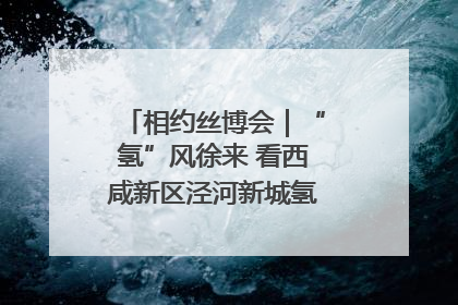 相约丝博会｜“氢”风徐来 看西咸新区泾河新城氢能产业聚链成势