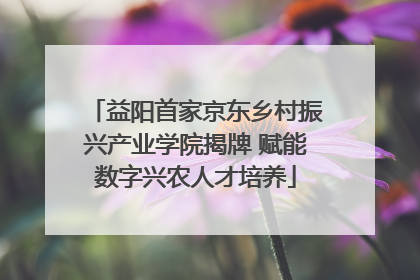 益阳首家京东乡村振兴产业学院揭牌 赋能数字兴农人才培养